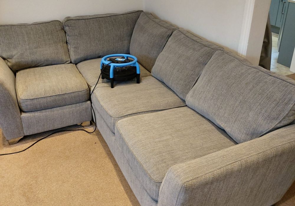 newcastle upholstery cleaning company