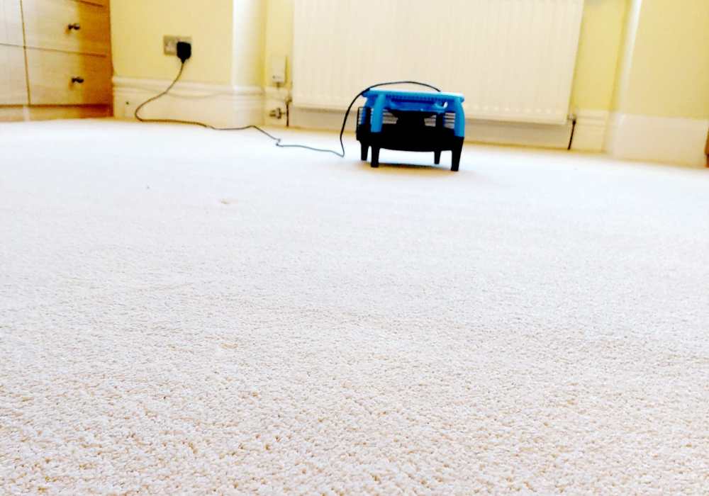 carpet cleaning newcastle upon tyne