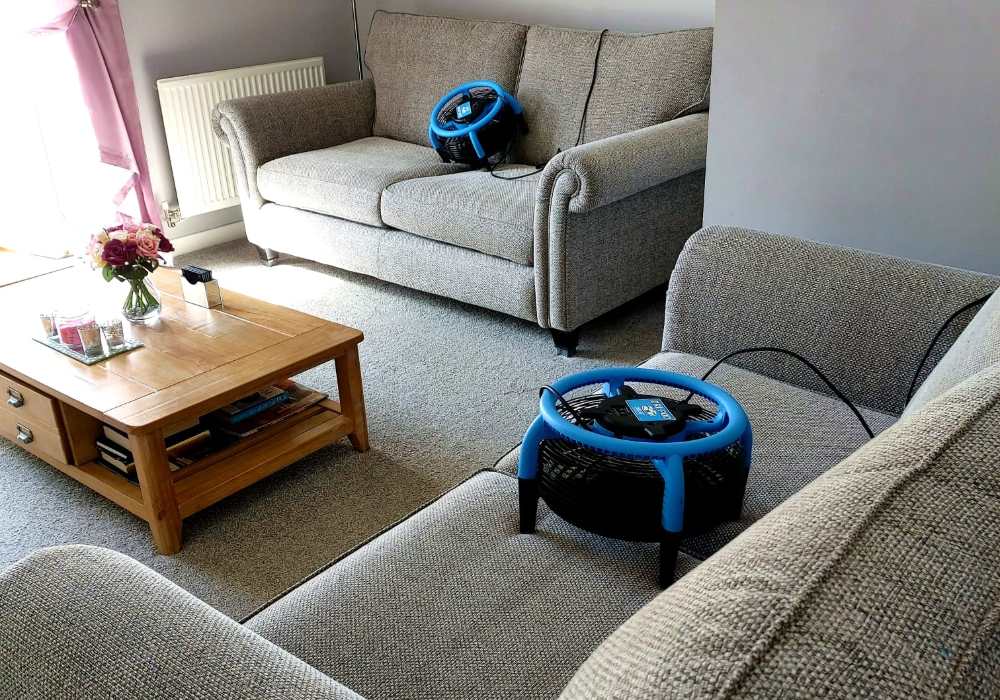 professional upholstery cleaners newcastle