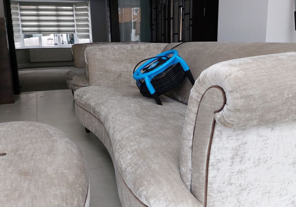 upholstery cleaning company in newcastle