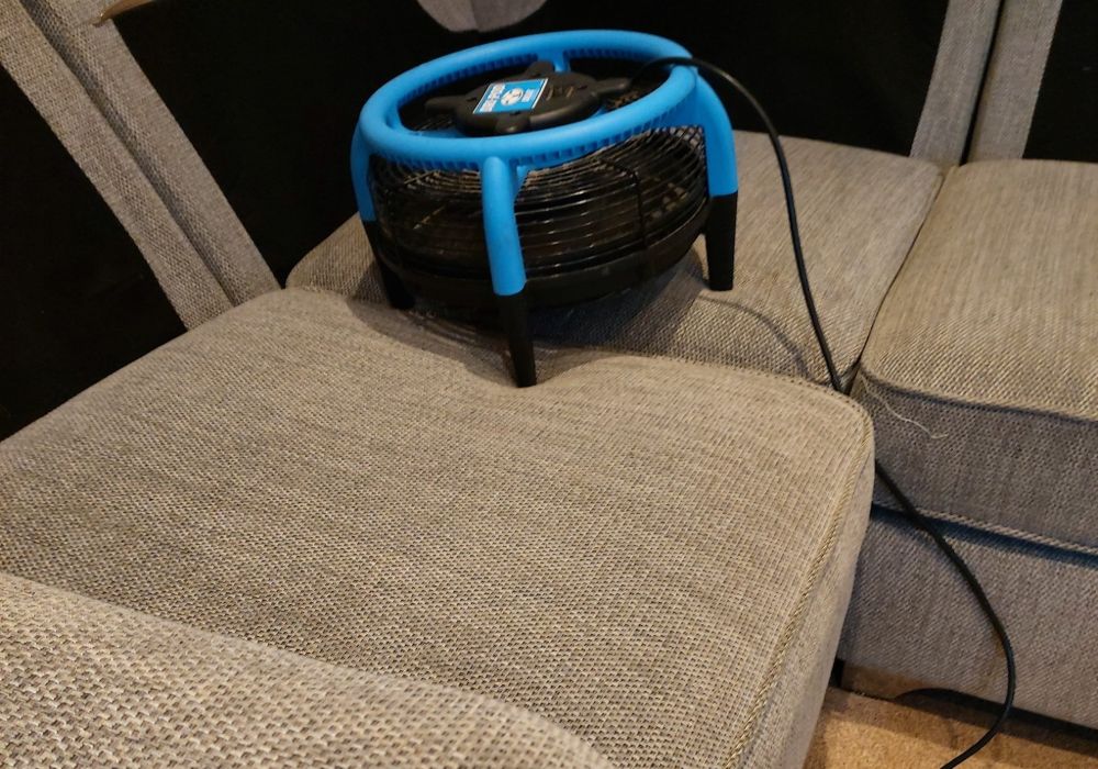 upholstery cleaning company newcastle